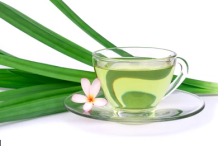 Pandan-tea