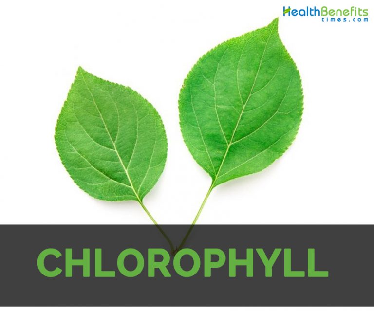Chlorophyll Facts and Health Benefits Nutrition