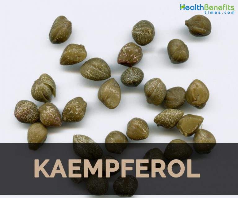 Kaempferol Facts and Health Benefits Nutrition