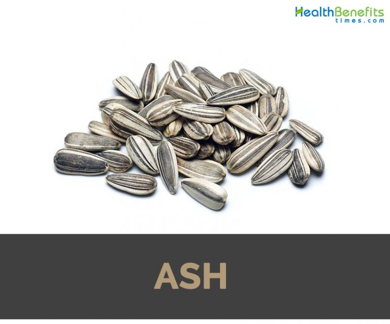Ash Facts Nutrition