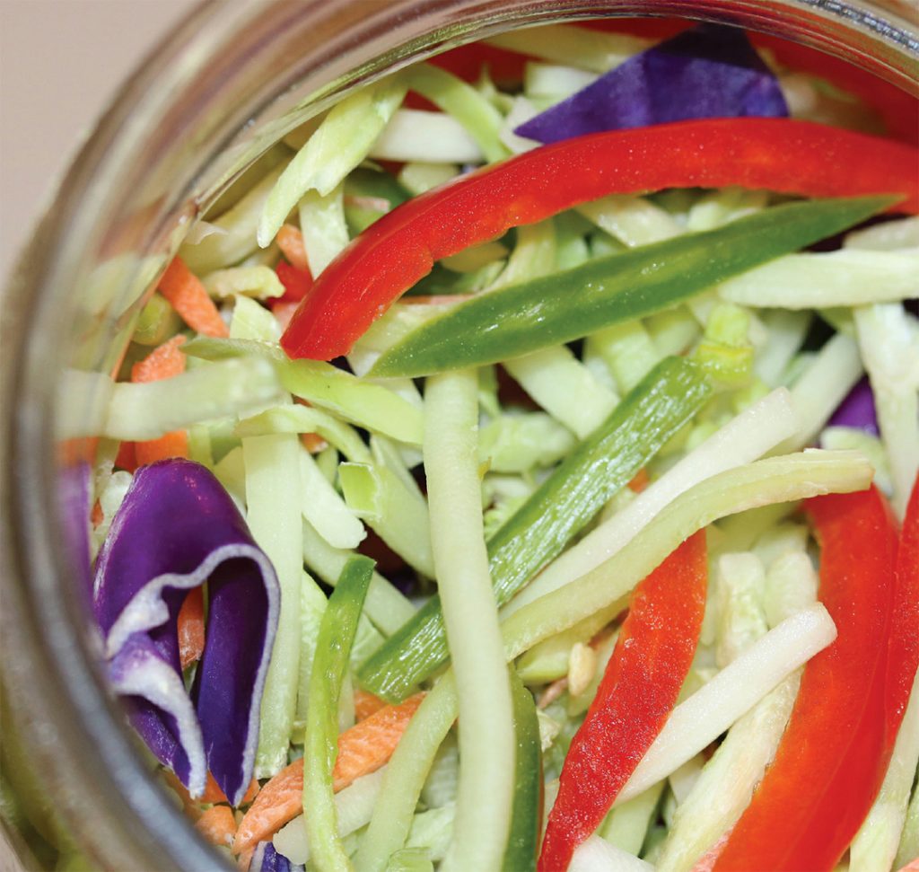 The Cultured Cook Delicious Fermented Foods with Probiotics 