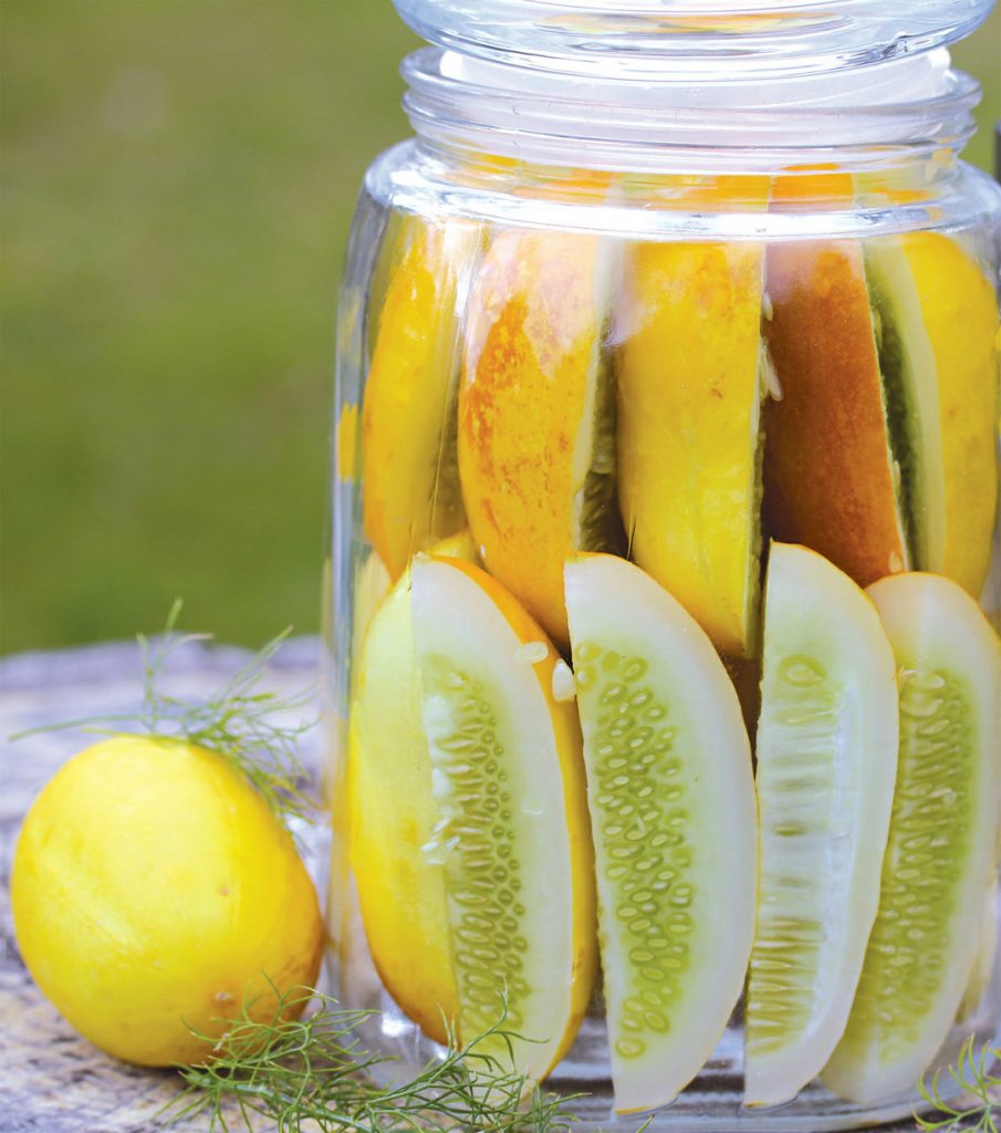 The Cultured Cook Delicious Fermented Foods with Probiotics