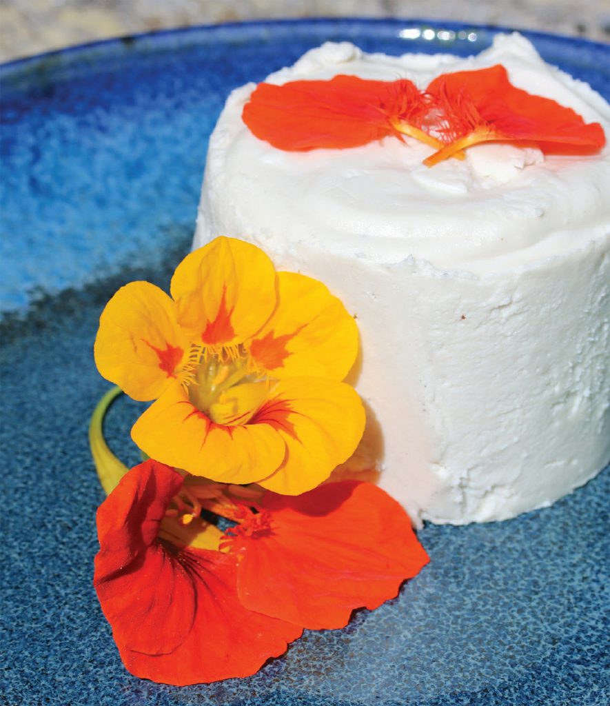 The Cultured Cook Delicious Fermented Foods with Probiotics